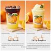 LISM Orange C Concentrated Juice