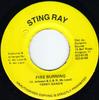 7inch Record TERRY GANZIE - Fire Burning NONE Sting Ray Jamaica Reggae, Ska & Dub Used