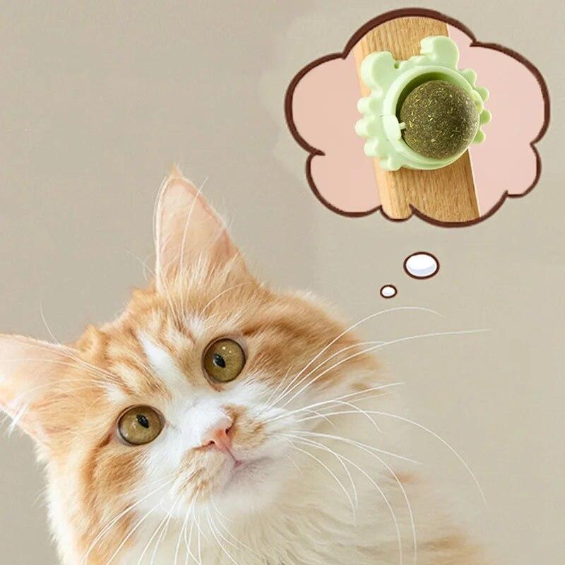 Pet Catnip Toys Edible Nature Mint Ball Safety Healthy Rotatable Cat Chasing Game Toy Clean Teeth Product with Box Moistureproof