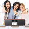 Домашняя акустическая система для караоке KTV SANSUI T73 (Китайская версия)