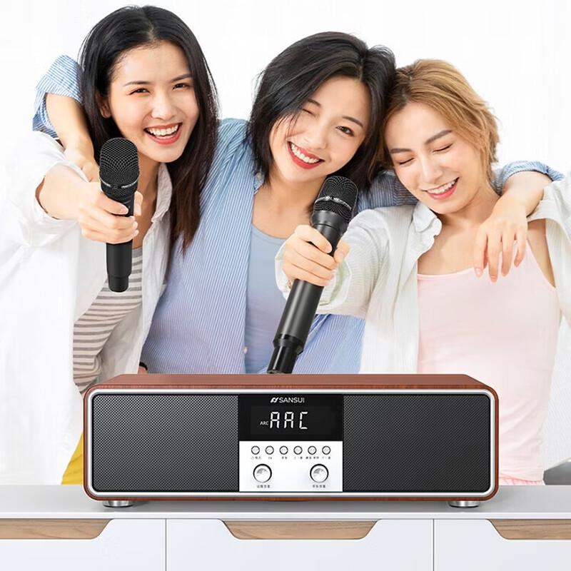 Домашняя акустическая система для караоке KTV SANSUI T73 (Китайская версия)