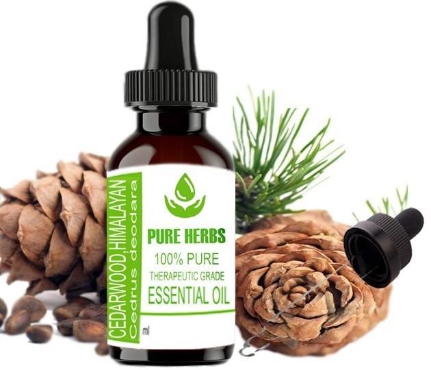 Pure Herbs Cedarwood Himalayan 100% Pure Cedrus Deodara Essential Oil ZA 318