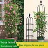 Iron Art Clematis & Rose Climbing Support Frame