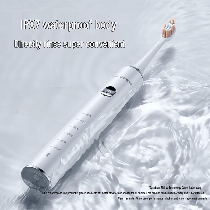 FLYCO FT7205 Electric Toothbrush