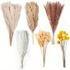 Source Yunnan Dried Flower Bouquet Combination, Real Flower Pampas Grass Home Decoration Reed Rabbit Tail Grass Dried Flowers
