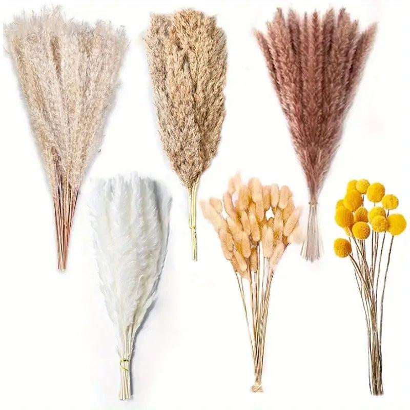 Source Yunnan Dried Flower Bouquet Combination, Real Flower Pampas Grass Home Decoration Reed Rabbit Tail Grass Dried Flowers