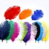 Beautiful Ostrich Feathers For DIY Jewelry Craft Making Wedding Party Decor Accessories Wedding Decoration