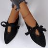 Autumn New Shallow Single Shoes Large Size Flat Casual Pointed Cross Strap Mary Jane Women's Shoes