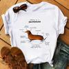 Harajuku Kawaii Tshirt Anatomia Da Raposa Gato Grfico Tees Das Mulheres Tops Esttica T Shirt Tripulao Pescoo Roupas De Vero Para As Mulheres