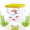 Aquarium Breeder Square Aquarium Breeder Feeder Floating Hatching Box  Aquarium Hatchery Accessory