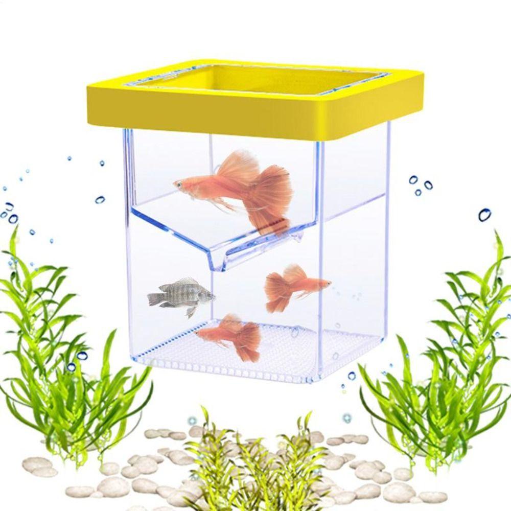 Aquarium Breeder Square Aquarium Breeder Feeder Floating Hatching Box Aquarium Hatchery Accessory