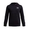 Under Armour Icon Fleece Taping Hoodie ultra-soft fleece black