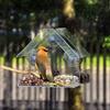 Bird Feeder Large Capacity Convenient Wear-resistant Suction Cup Design Hanging Bird Food Container Bird Supplies