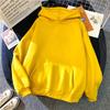 Autumn Winter Fleece Hoodies Fashion Casual Sweatshirts Unisex Women Harajuku Warm Oversized Pullovers