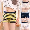 4Pcs/lot Cotton Shorts Boys Underwear Kids Underwear Boxer Briefs Panties Cartoon Pattern