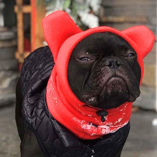 Снуд для собаки Зимний капюшон Теплый капюшон для питомца с защитой ушей Флисовый утеплитель для шеи со шнурком для собак и кошек