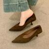 Thin Heel Pointed Suede Single Shoes Women's Shoes 2025 New Autumn French Temperament Light Mouth Black High Heel Commuter Shoes