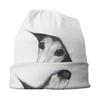Geryhound Greyhounds Dog Peeping Whippet Унисекс Женские тонкие шапочки Уличная лыжная кепка Skullies Капот Шапка