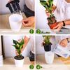 Automatic Water-Absorbing Succulent Flower Pot Hydroponic Basin Fleshy Flowerpot
