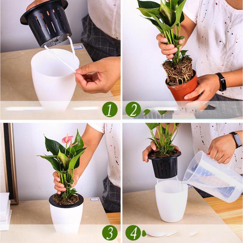 Automatic Water-Absorbing Succulent Flower Pot Hydroponic Basin Fleshy Flowerpot
