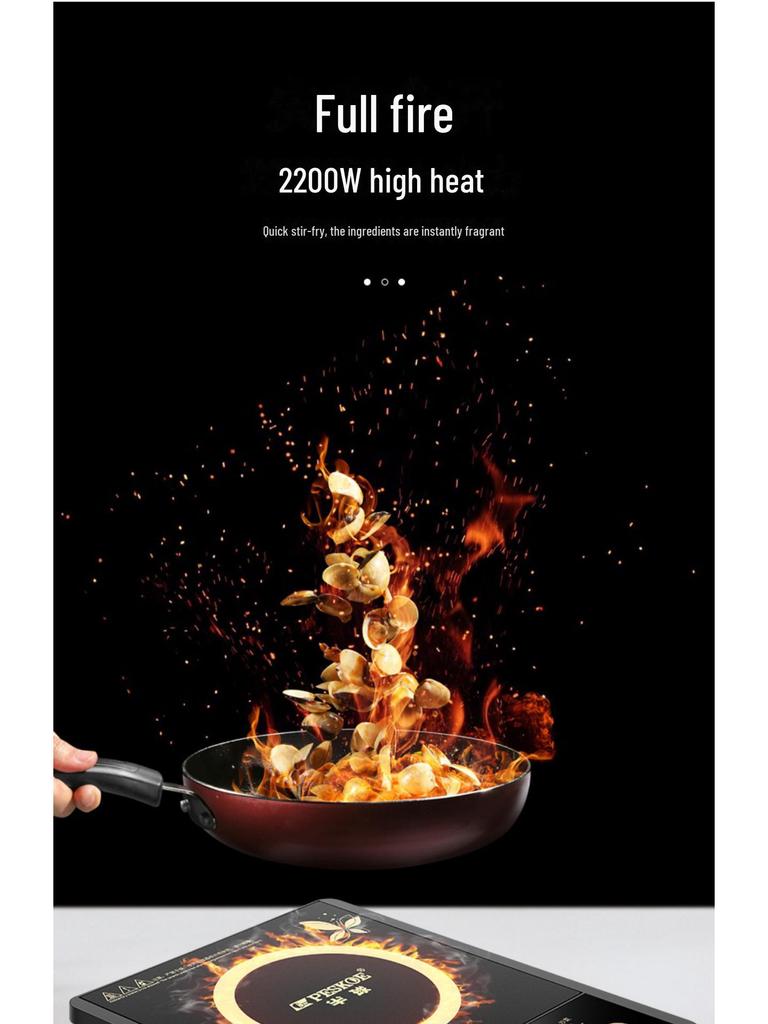 Electric Ceramic Induction Cooker 110V for Middle East Markets