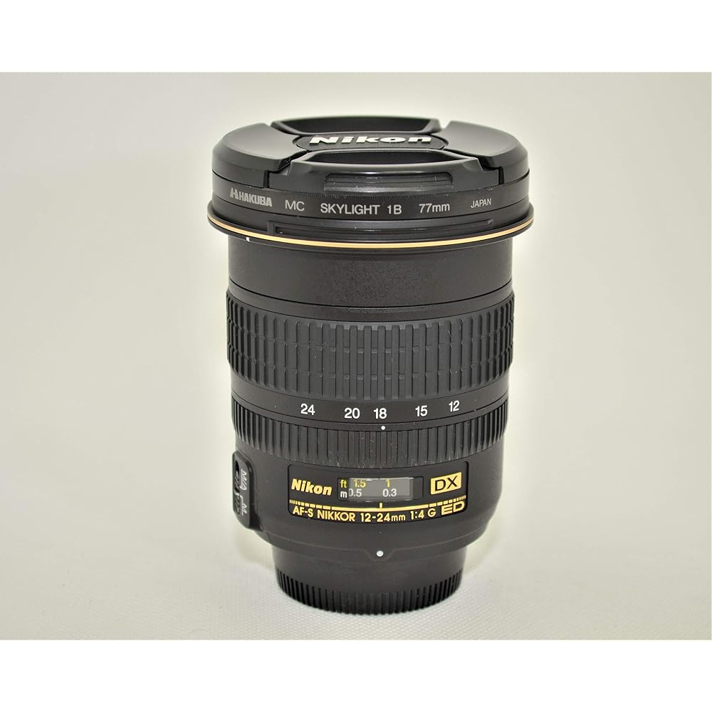 Nikon AF-S DX Zoom Nikkor 12-24mm f/4G IF-ED ultra-wide-angle zoom lens (for Nikon DX format only)