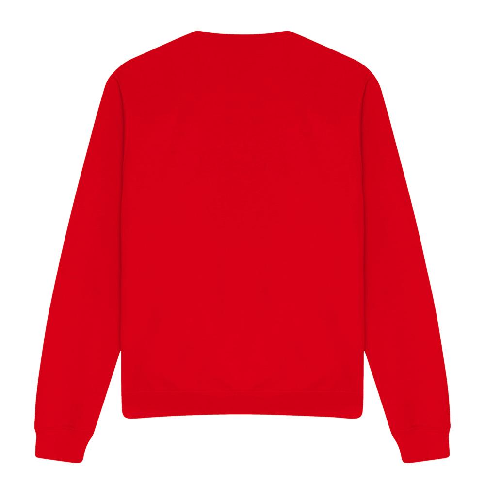 Asterix Unisex Adult The Heroic Gauls Sweatshirt