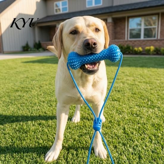Bite Resistant Dog Chews Chew Toy, Teeth Brushing Tool with Adjustable Strap, Silicone Canine Small Medium Large Toy Dental Prop, for Dogs Gums