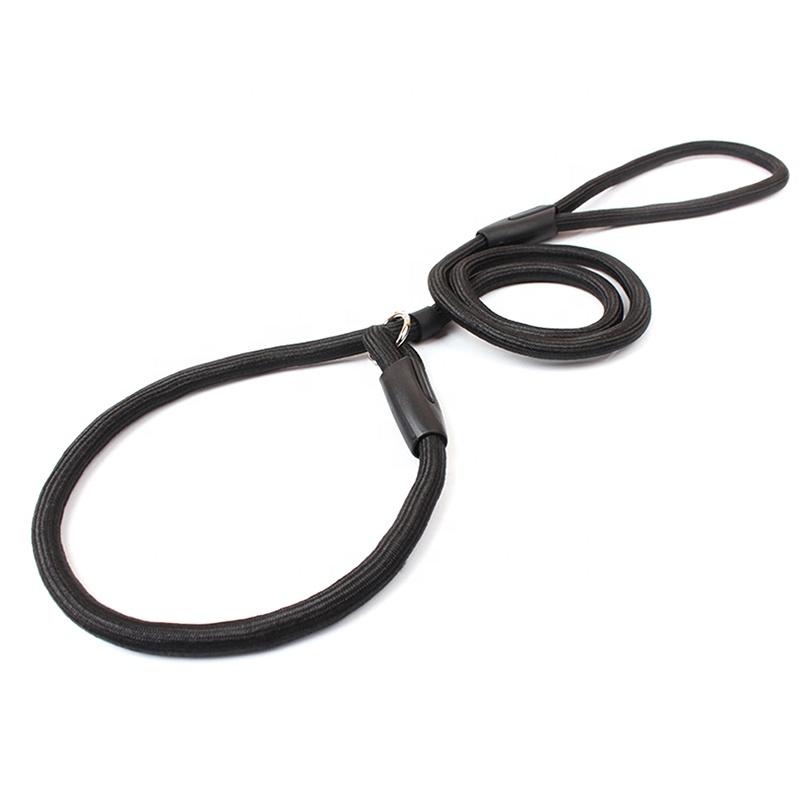 Durable Polyester Nylon Dog Leash Slip Lead Pet Outdoor P Chain Ribbon Decoration Pure Solid Color Dog Walking Collar