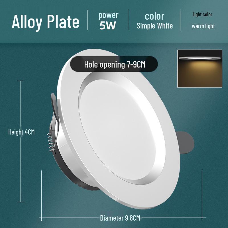 Recessed Ceiling Downlight for Living Room, 5-Inch Cutout, Bullseye Design