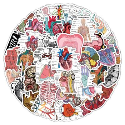 50 шт., наклейка для скрапбукинга с изображением человеческих органов для детей, зубов, сердца, мозга, медицинская канцелярская наклейка, DIY Декор, наклейка для багажа