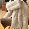 Autumn and Winter New Leather Fur Lamb Plush Imitation Fur Coat Women's Coat Short Curly Hair Top