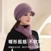 Hat Women's Autumn and Winter New Velvet Warm Windproof Ear Protection Knitted Wool Hat Cold Scarf Hat