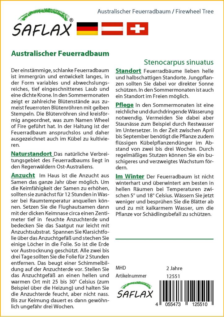 SAFLAX Дерево Firewheel Tree - 20 семян - С горшечным субстратом для лучшего выращивания - Stenocarpus sinuatus