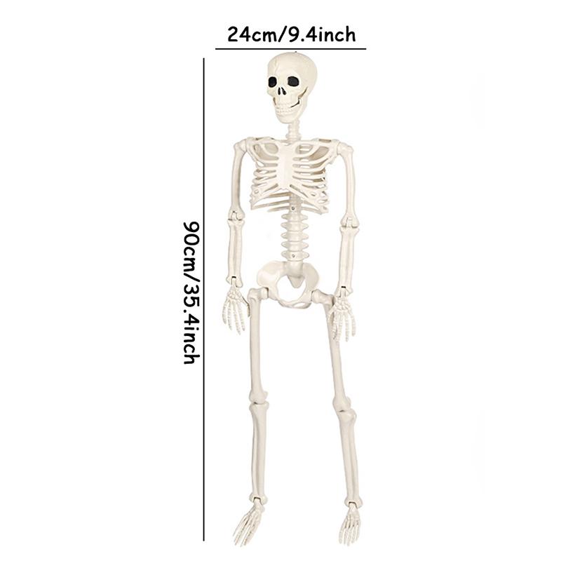 New 40/90cm Halloween Skeletons Fake Full Body Skull Bones Movable Halloween Party Decor for Home Bar Haunted House Horror Props