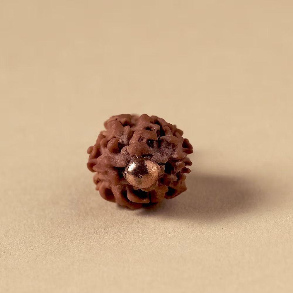 Рудракша (2 мукхи), Dwimukhi Rudraksha Bead,  Isha Life