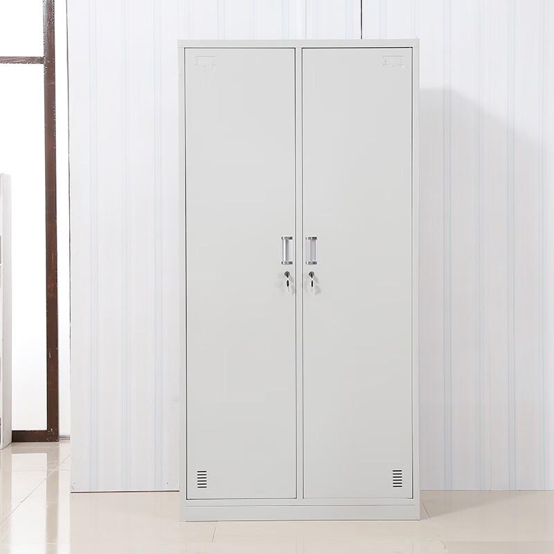 Zhenyi Double-Door Storage Cabinet