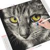 Diamond Embroidery 5D Cat DIY Diamond Art Painting Animal Mosaic Home Decoration