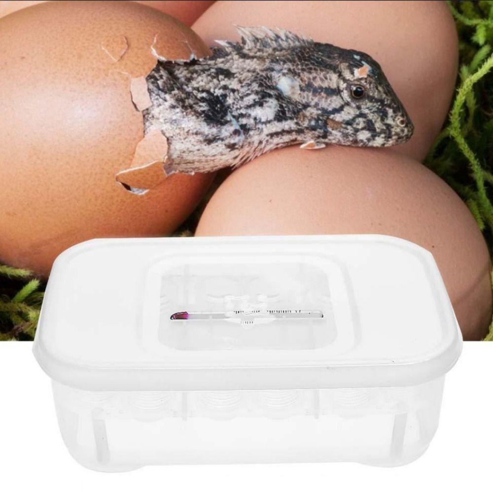 12 отверстий лоток для инкубации яиц рептилий, яиц ящериц, гекконов, змей, ящик для хранения насекомых