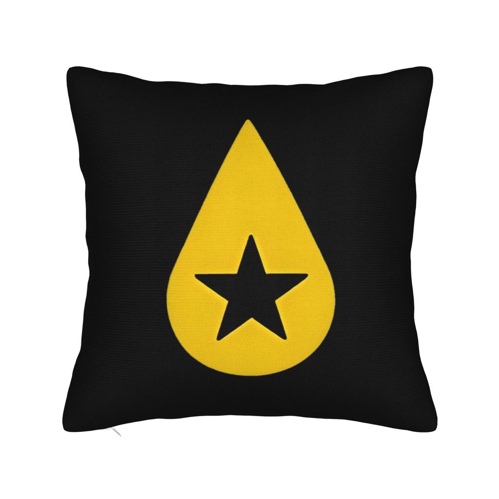 Conan Gray Album    Wishbone Square Pillow Covers Polyester Home  Cushion Case Funny Decorative Throw Pillow Case 4545