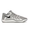 Nike Кроссовки мужские KD 17 TB Wolf Grey белые черные FV1307-002