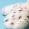 Ocean World Seal Plush Toy, Cute Sea Lion Stuffed Animal Limited Edition, Collectible Birthday Gift For Kids