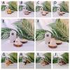 Mini Cat Dog Statues Painted Small Animal Dolls Desktop Accessories Wooden Animal Figurine  Home