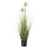 Hill Interiors Agapanthus Plant Pot