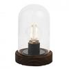 Hestia LED Light Up Glass Dome with Bulb - Small