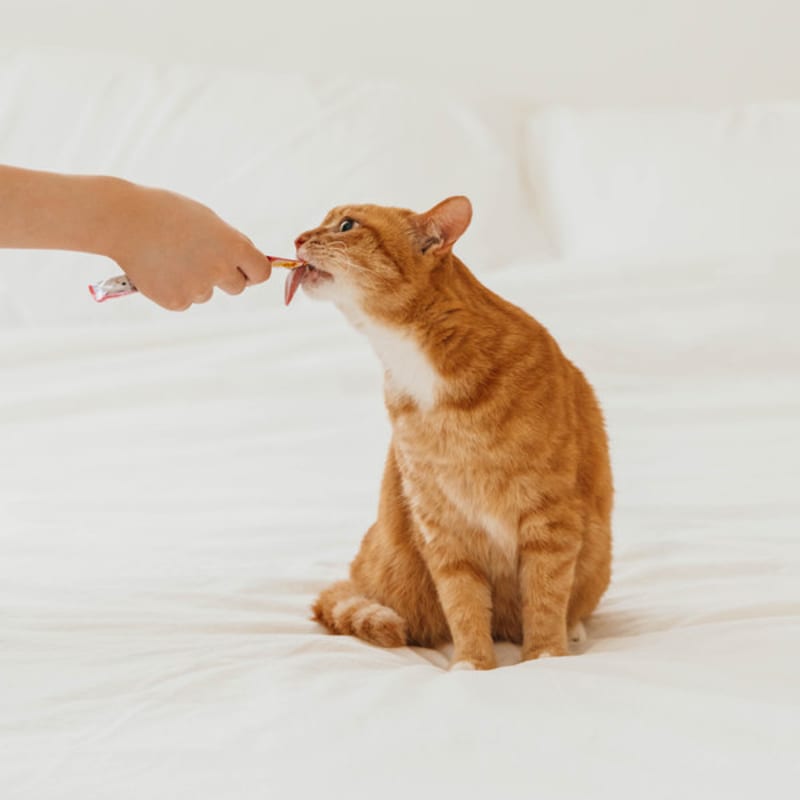 [Pet] Inaba Chao Stick куриная грудка и краб 15 г