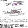 Daiwa Shoreline Shiner Z Set Upper 110S-DR Laser Lime Chartreuse Iwashi Fishing Lure 110mm