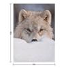 Arctic Wolf Throw Blanket Decorative Sofa Flannel Fabric Loose Warm Blankets