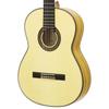 ARIA Aria flamenco guitar With soft case A-100F