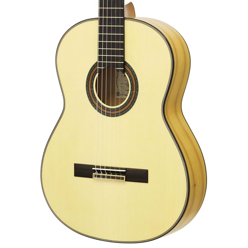 ARIA Aria flamenco guitar With soft case A-100F